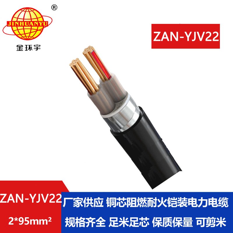 金環(huán)宇電線電纜 二芯鎧裝電纜 深圳阻燃a類(lèi)耐火